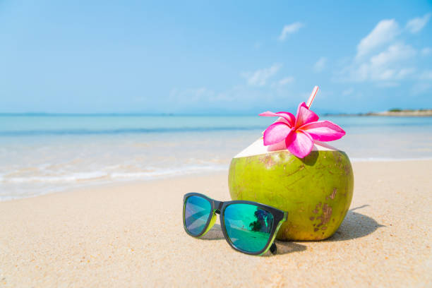Coconuts with drinking straw and sunglasses on the tropical beach. stock photo