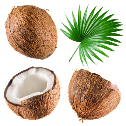 Coconuts with palm leaf on white background. Collection