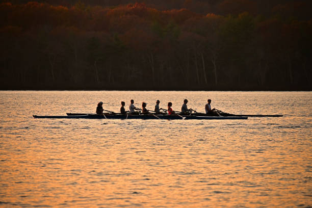 Co-ed rowing on lake at sunset stock photo