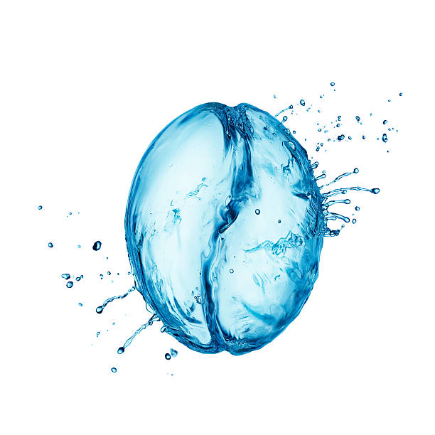 A coffee bean made from blue water splashing on white back stock photo
