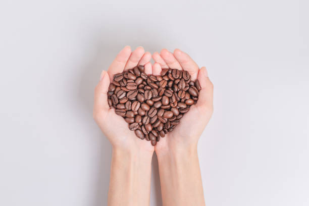 Coffee beans roasted in the hands of woman in heart shape. on white background. Top view. Coffee beans roasted in the hands of woman in heart shape. on white background. Top view. hot arabian women stock pictures, royalty-free photos & images