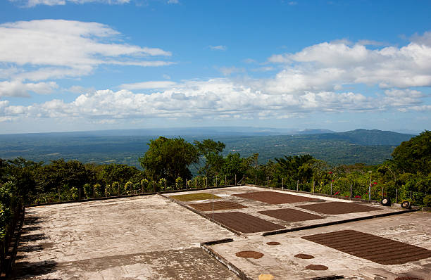 Coffee fermentation in Nicaragua stock photo