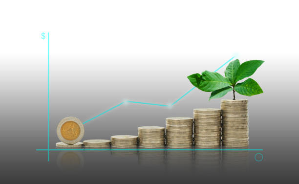 녹색 스태킹 동전 동전 시작 나뭇잎 식물 성장을 위에 성공 프로젝트 계획에 최대 그래프 또는 예측. 금융 및 저장 개념입니다. esg 환경 사회 지배 - esg 뉴스 사진 이미지