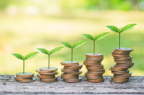 硬幣堆疊在木桌上與綠色植物增長。省錢企業理財成功財富投資預算概念。啟動計畫。esg. - esg 個照片及圖片檔