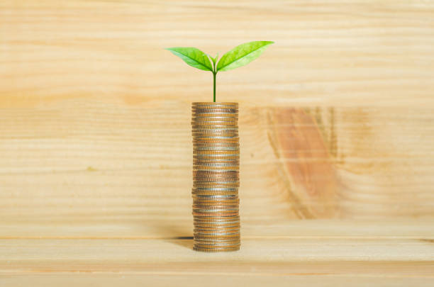 동전은 녹색 식물에 성장과 나무 테이블에 스택. 돈 절약 비즈니스 금융 성공 재산 투자 예산 개념. 시작 계획. esg. - esg 뉴스 사진 이미지