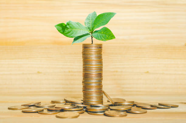 硬幣堆疊與綠葉生長從硬幣組在木桌背景。成功的財務、儲蓄、創業和投資理念。環境社會治理。利潤收入。 - esg 個照片及圖片檔
