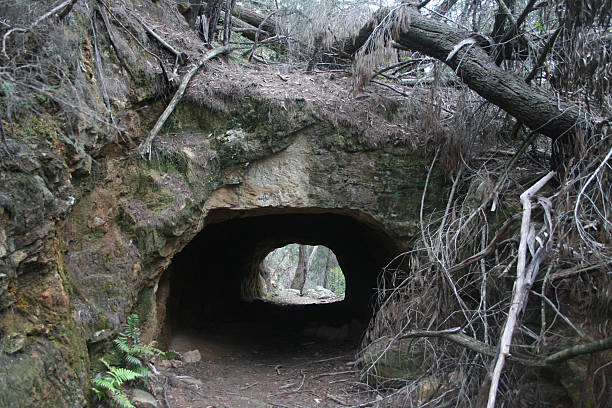 Coke tunnel in forest stock photo