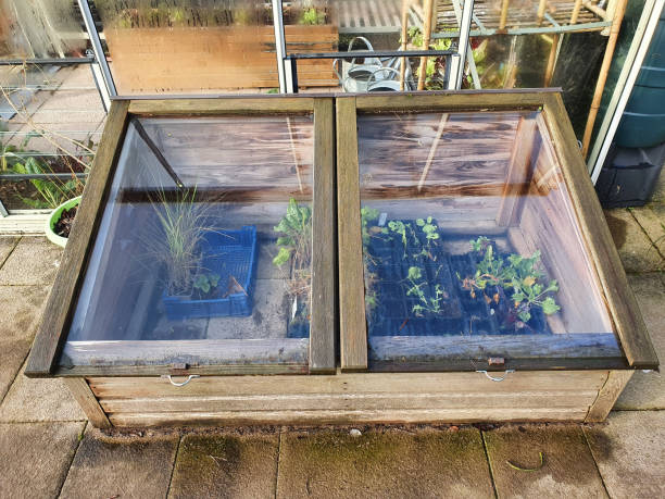 Cold frame stock photo