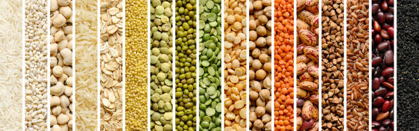 collage of cereals and legumes food background - plant based food imagens e fotografias de stock