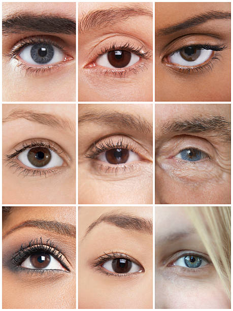 Collage of human eyes Collage of human eyes brown eyes stock pictures, royalty-free photos & images