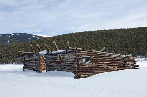 An old sheep herder's cabin lost its roof years ago, but the four walls still withstand tremendous amounts of snow each winter on Tennessee Pass near Leadville, Colorado.