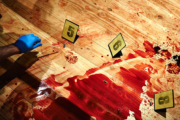 Collecting bloody evidence Cropped shot of a bloody crime scene floor with a hand collecting evidence blood photos stock pictures, royalty-free photos & images