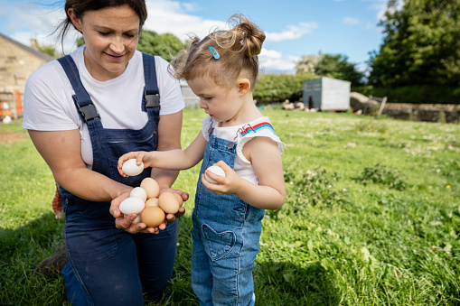 A close-up shot of a mother with her young daughter, they are at their farm in North East, England. The girl's mother is teaching her about the farm, they are collecting chicken eggs from the grass.