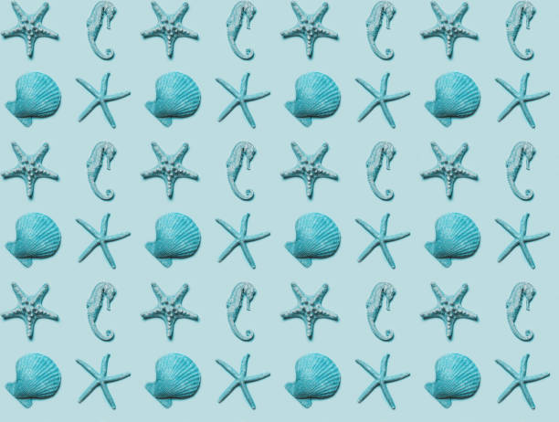 Collection of different seashells, seamless pattern of turquoise shells on blue color background stock photo