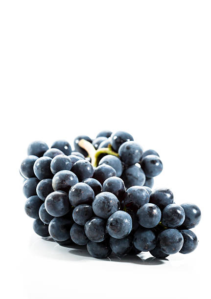 Collection of Fresh Grapes on Bright Backgroup Up Close stock photo