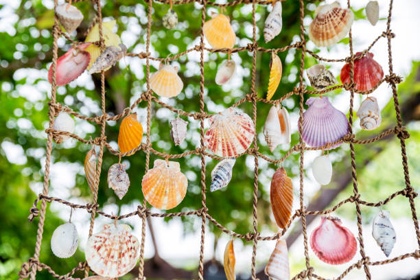 Collection of marine seashells hanging on grid stock photo