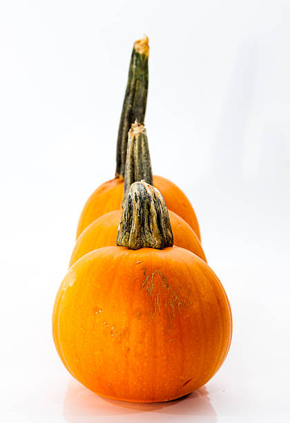 Collection of Small Pumpkins on a Bright Background stock photo