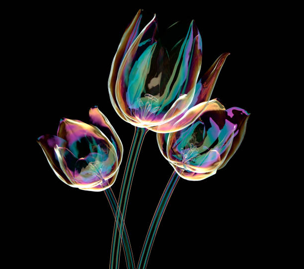 color glass flower isolated on black , the tulip color glass flower isolated on black, the tulip 3d illustration xray nature stock pictures, royalty-free photos & images