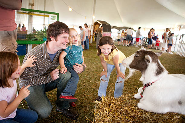 Color Image of Family Watching Goat at County Fair stock photo