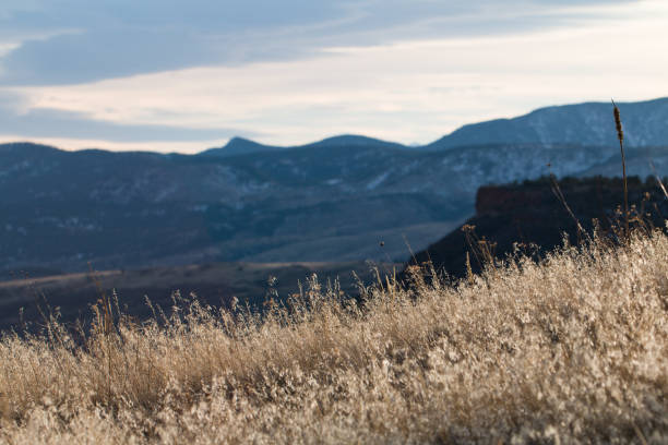 Colorado Mountain Landscape stock photo
