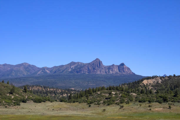 Colorado Mountain Landscape Under Vibrant Clear Blue Sky with Wooded Hills in Foreground stock photo