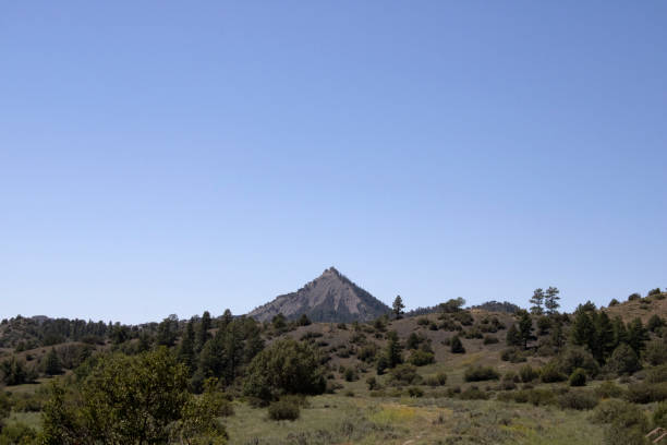 Colorado Mountain on the Horizon Under Clear Blue Sky with Trees and Hills in Foreground stock photo