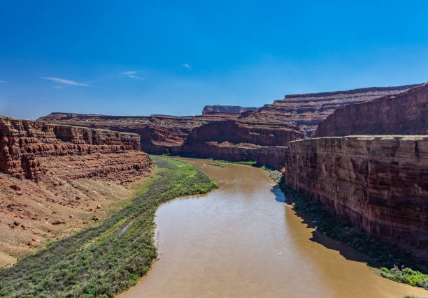 Colorado River in the canyon, Canyonlands National Park, Utah, United States stock photo