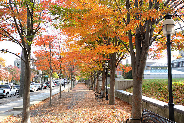 Colorful Autumn cross the street stock photo