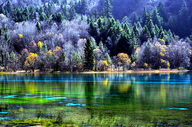 Photo of Colorful autumn Jiuzhaigou