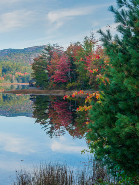 Colorful autumn trees reflecting in lake stock photo