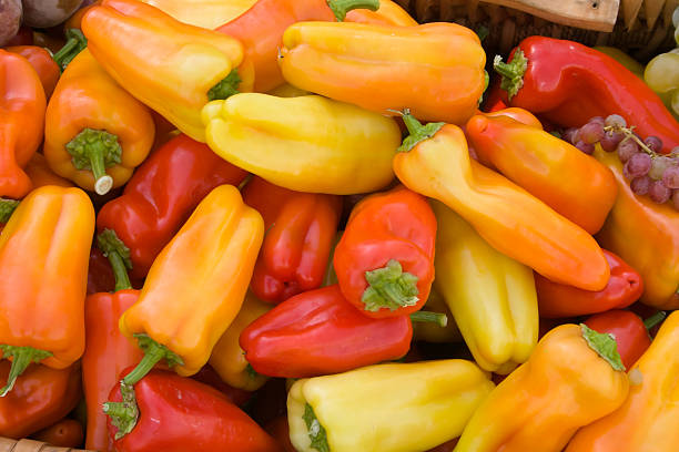 Colorful Bell Peppers stock photo