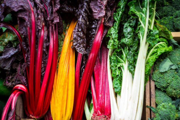 Colorful Chard in a row at Food Market Close up color image depicting colorful sticks of Swiss Chard in a row and for sale at the food market. The chard is in vibrant red, yellow and green colors. Room for copy space. chard stock pictures, royalty-free photos & images