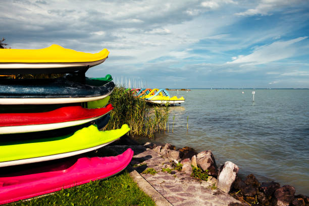 Colorful crocodile shaped canoes and kayaks stock photo