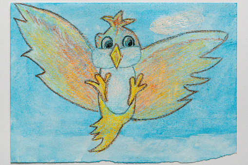 Colorful drawing -colorful cartoon bird