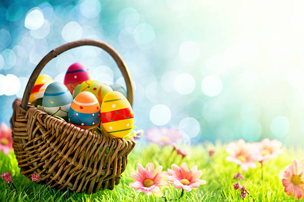 Colorful easter eggs in a basket on meadow stock photo