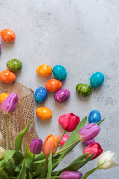 Colorful Easter Eggs on table with Tulips flatlay after easter egg hunt  easter sunday stock pictures, royalty-free photos & images