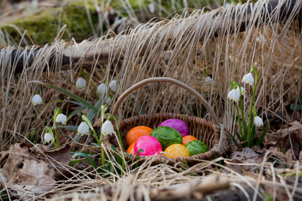 colorful Easter little one  easter sunday stock pictures, royalty-free photos & images
