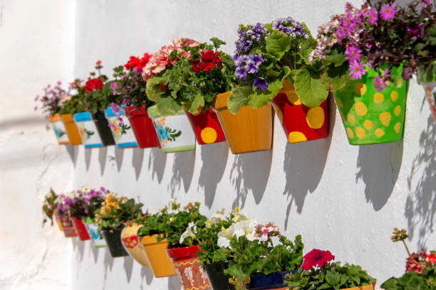 Colorful flower pots Flowerpots filled with blooming flowers hanging on a white stucco wall in Andalusia, Spain. courtyard stock pictures, royalty-free photos & images
