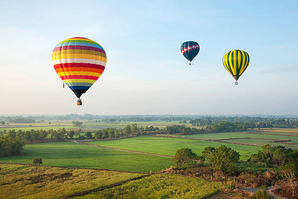 bunte heißluftballons über grüne reisfeld. - heißluftballon stock-fotos und bilder
