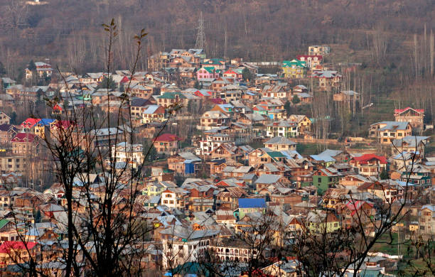 Colorful Houses of  Srinagar, Kashmir, India Colorful Houses of  Srinagar, Kashmir, India srinagar stock pictures, royalty-free photos & images