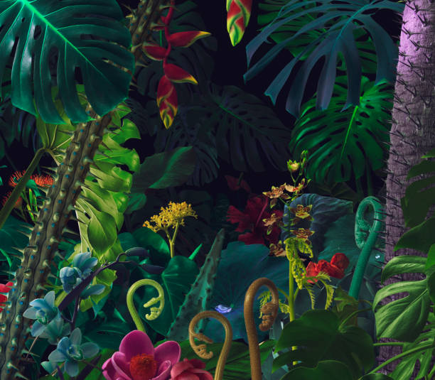 Colorful night jungle background stock photo