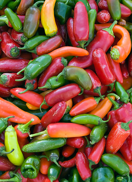 Colorful Peppers stock photo