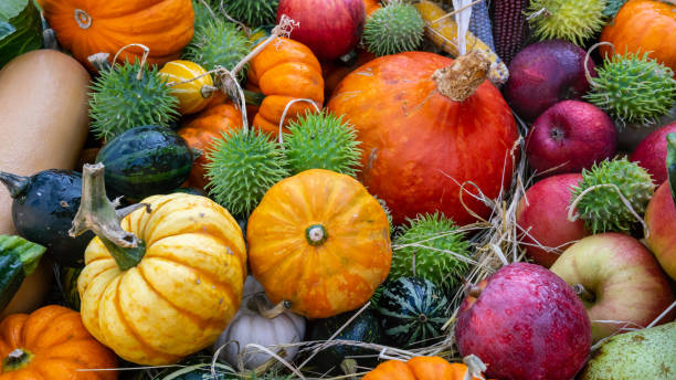 bunte kürbisse, gemüse, obst, äpfel, kastanien auf einem lokalen gemüsemarkt ausgestellt. thanksgiving, erntedankfest. - herbst stock-fotos und bilder