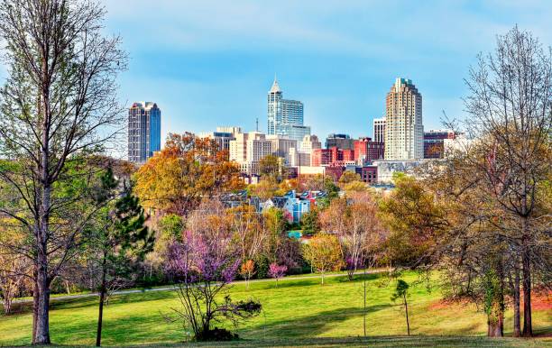 Colorful Raleigh Cityscape A colorful downtown Raleigh, North Carolina cityscape view from a park in spring. raleigh - nc skyline, spring stock pictures, royalty-free photos & images
