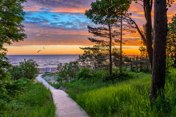 Colorful sunrise on a beach of the Baltic Sea stock photo