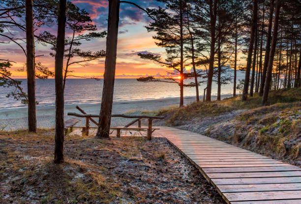 Colorful sunrise on park forest near beach of the Baltic Sea in Jurmala, Latvia stock photo