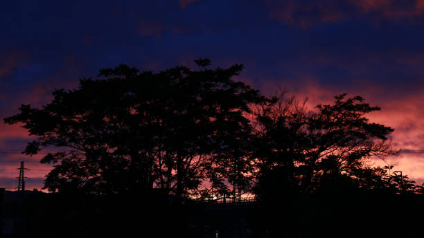 colorful sunset - sturm imagens e fotografias de stock