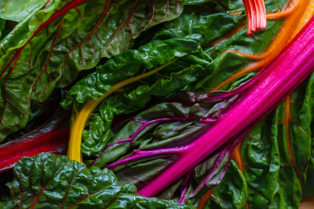 Colorful swiss chards Orange, yellow stemmed and pink passion chards chard stock pictures, royalty-free photos & images