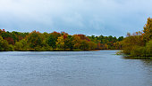 Trees with leaves turning colors in Autumn  line a lake.
