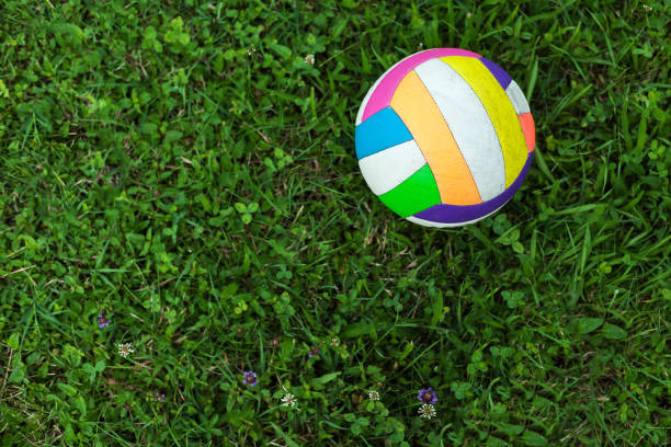 Colorful Volleyball on Grass stock photo